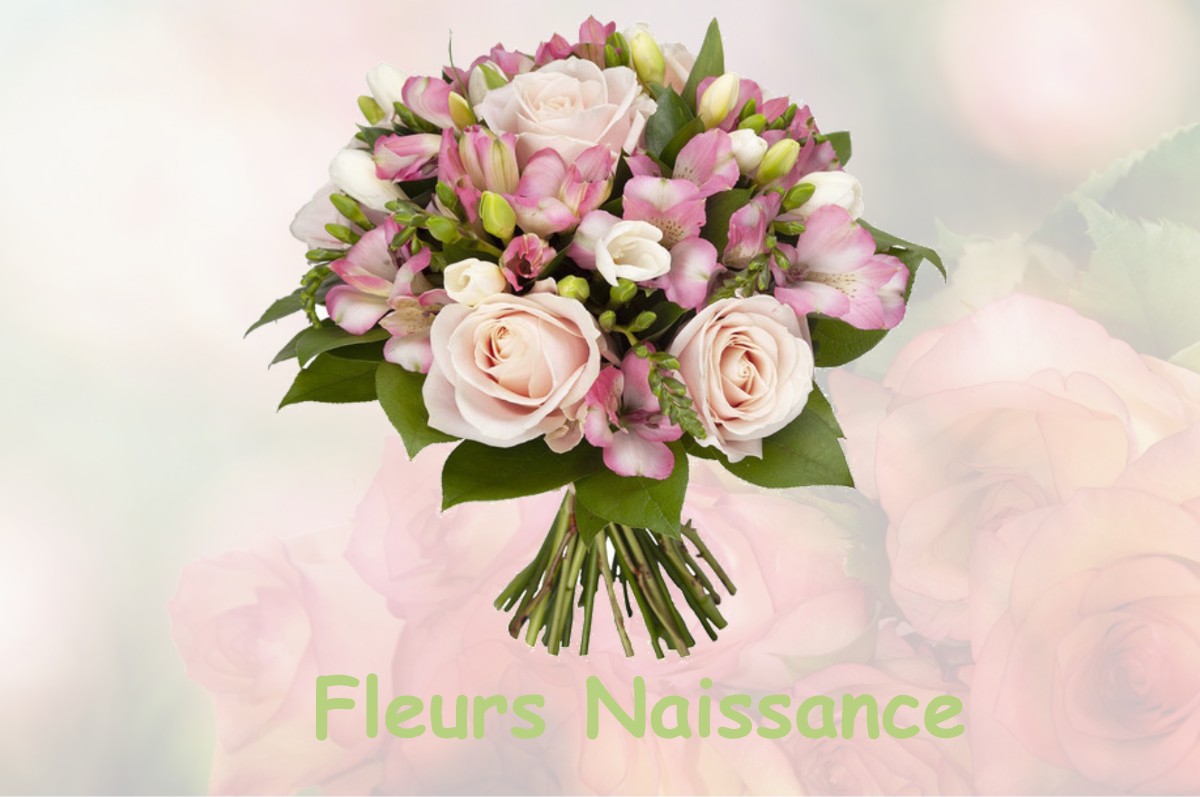 fleurs naissance CHAMPAGNE-SUR-SEINE